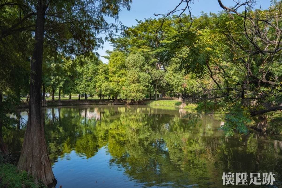 台版紐約中央公園!市區洗森林浴,打卡浪漫夢湖、夫妻樹、荷花池畔拱橋 台版紐約中央公園!市區洗森林浴,打卡浪漫夢湖、夫妻樹、荷花池畔拱橋