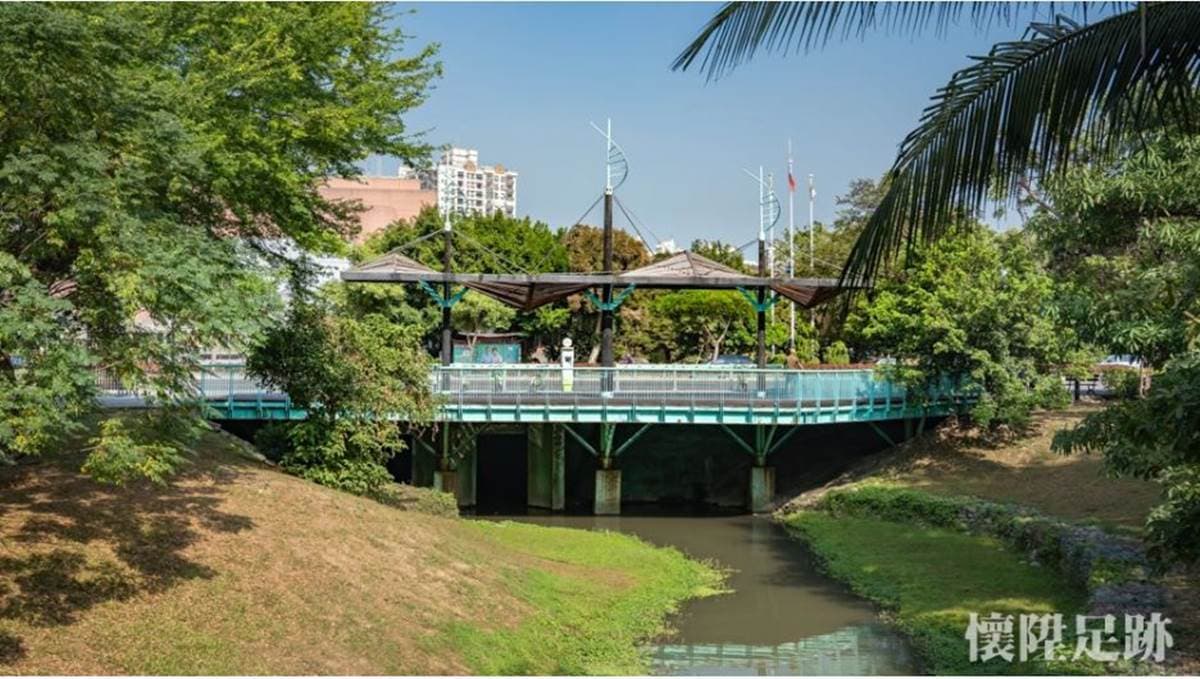 台版紐約中央公園!市區洗森林浴,打卡浪漫夢湖、夫妻樹、荷花池畔拱橋 台版紐約中央公園!市區洗森林浴,打卡浪漫夢湖、夫妻樹、荷花池畔拱橋
