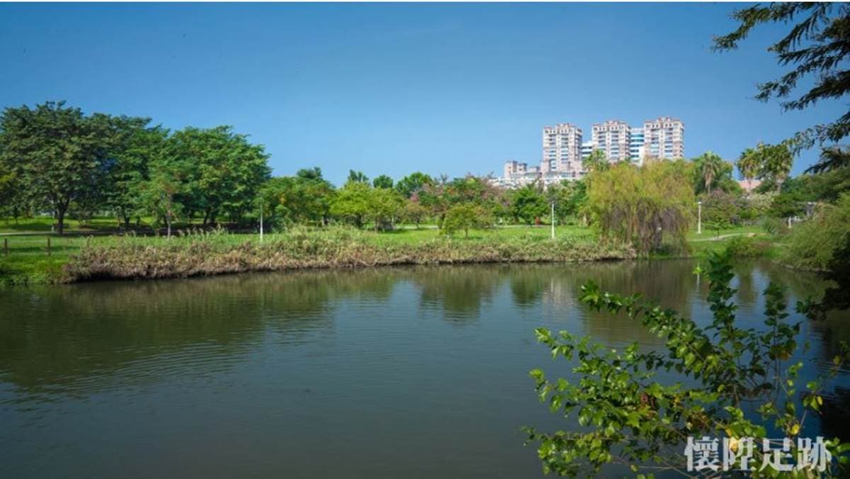 台版紐約中央公園!市區洗森林浴,打卡浪漫夢湖、夫妻樹、荷花池畔拱橋 台版紐約中央公園!市區洗森林浴,打卡浪漫夢湖、夫妻樹、荷花池畔拱橋
