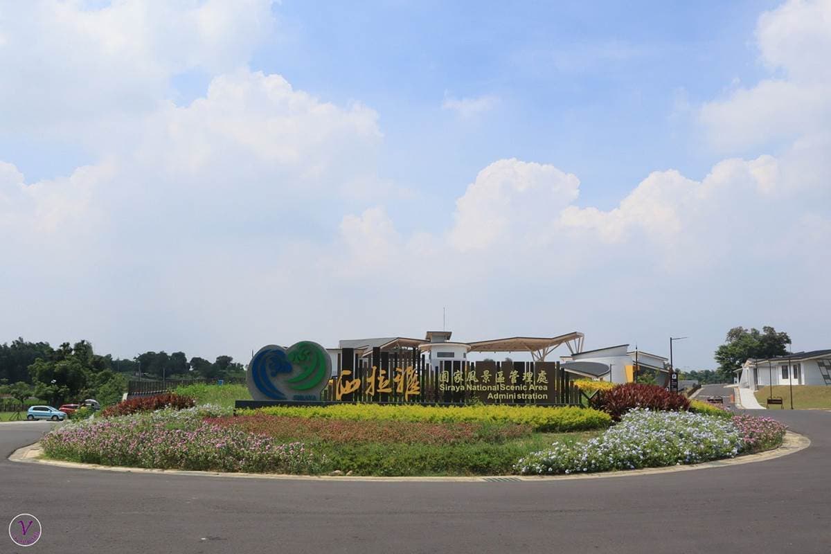 不只有菱角!台南官田親子遊4打卡點:百年大綠傘、無邊際景觀池、「菱香舟影」奇景 不只有菱角!台南官田親子遊4打卡點:百年大綠傘、無邊際景觀池、「菱香舟影」奇景