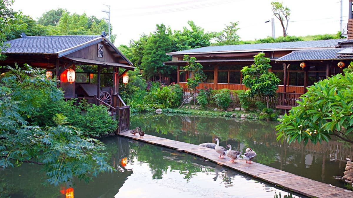 台中隱藏版景觀餐廳!「江南水鄉風園區」吃燻鴨胸套餐,還有水上木棧步道可美拍 台中隱藏版景觀餐廳!「江南水鄉風園區」吃燻鴨胸套餐,還有水上木棧步道可美拍