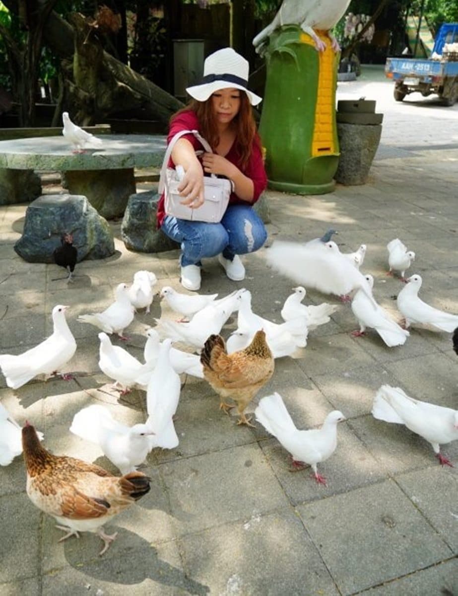 來玩整天!台南休閒農場能餵小動物、嗑Q彈烤土雞+百變竹筍餐,還可住歐風別墅 來玩整天!台南休閒農場能餵小動物、嗑Q彈烤土雞+百變竹筍餐,還可住歐風別墅