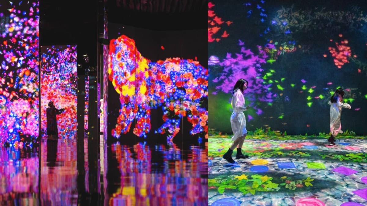 日本最美拍teamLab再登台!700坪「花朵互動展」這天開跑,9大展區美翻快朝聖