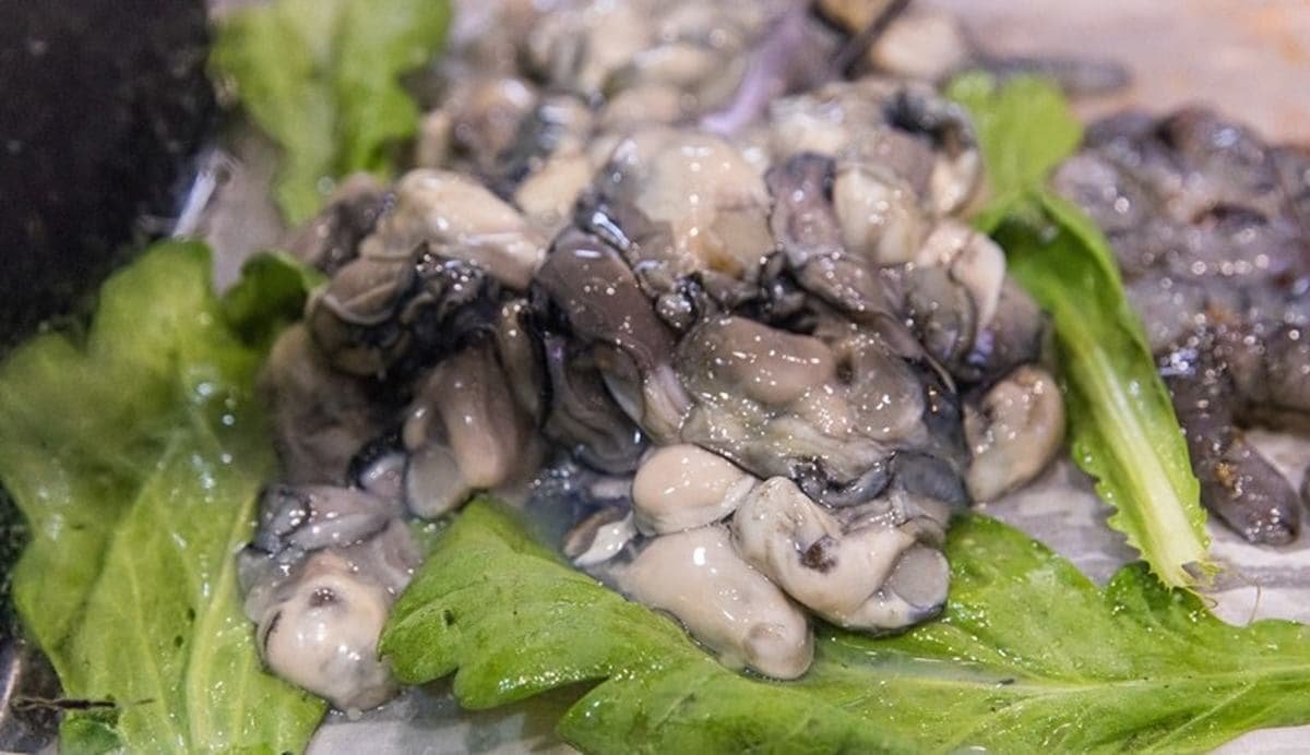 華西街夜市必吃!50年「香菇肉粥配炸物」老饕讚台北前3,炸蚵仔大顆又鮮甜 華西街夜市必吃!50年「香菇肉粥配炸物」老饕讚台北前3,炸蚵仔大顆又鮮甜