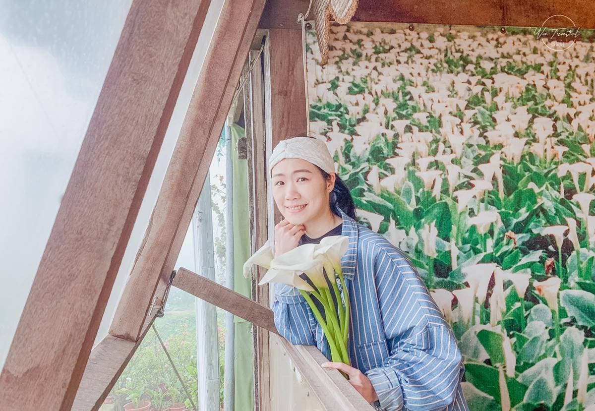 美拍陽明山海芋花海!純白色系超夢幻,「粉紅木門」IG必打卡 美拍陽明山海芋花海!純白色系超夢幻,「粉紅木門」IG必打卡