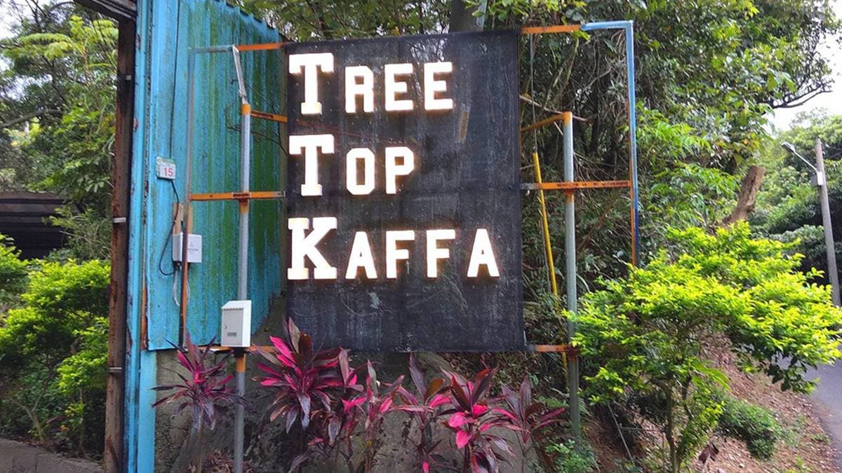 TREE TOP KAFFA 樹頂上