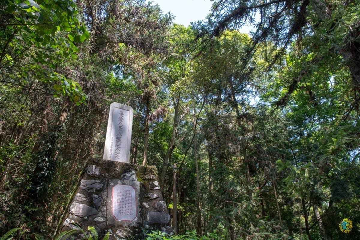 「火金姑」閃閃飛舞太浪漫!台中度假小木屋追螢、觀星一次享受,還能露天泡腳超放鬆 「火金姑」閃閃飛舞太浪漫!台中度假小木屋追螢、觀星一次享受,還能露天泡腳超放鬆
