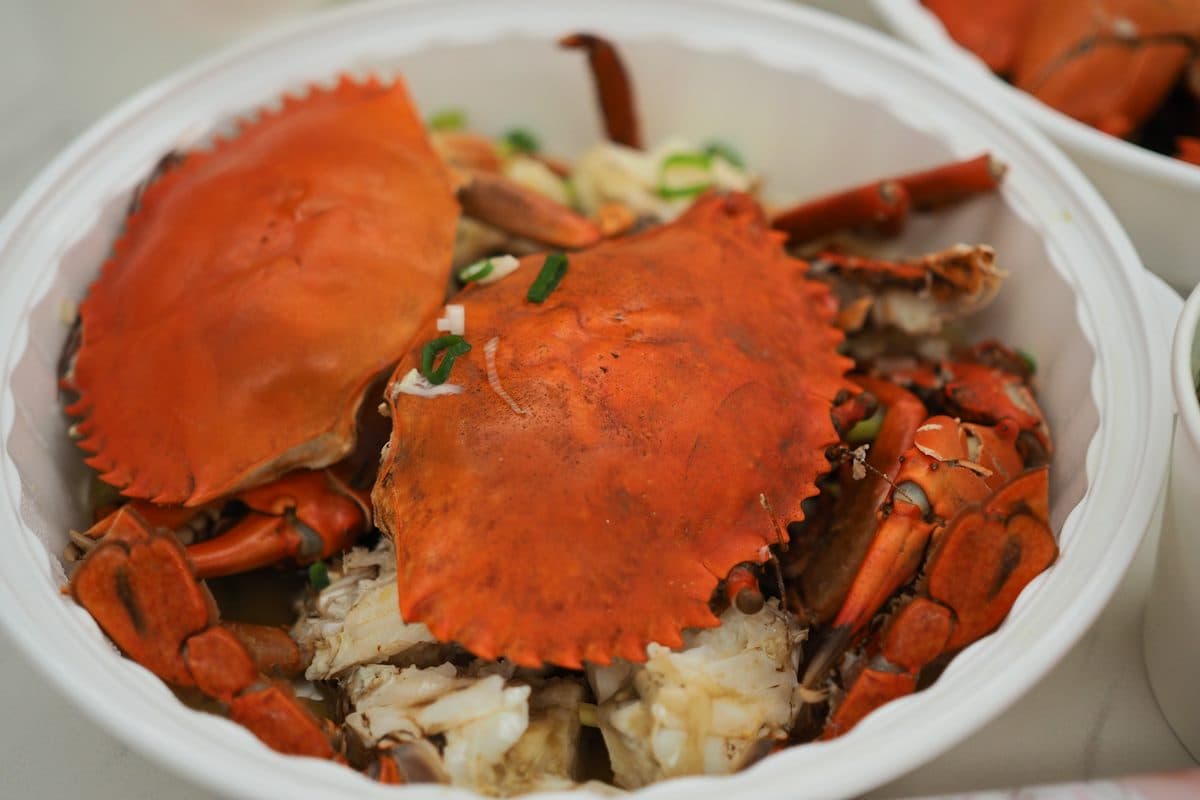 捐血換好料!台北「公益美食祭」免費吃61家人氣餐廳:米其林推薦台菜、現煮避風塘活蟹 捐血換好料!台北「公益美食祭」免費吃61家人氣餐廳:米其林推薦台菜、現煮避風塘活蟹