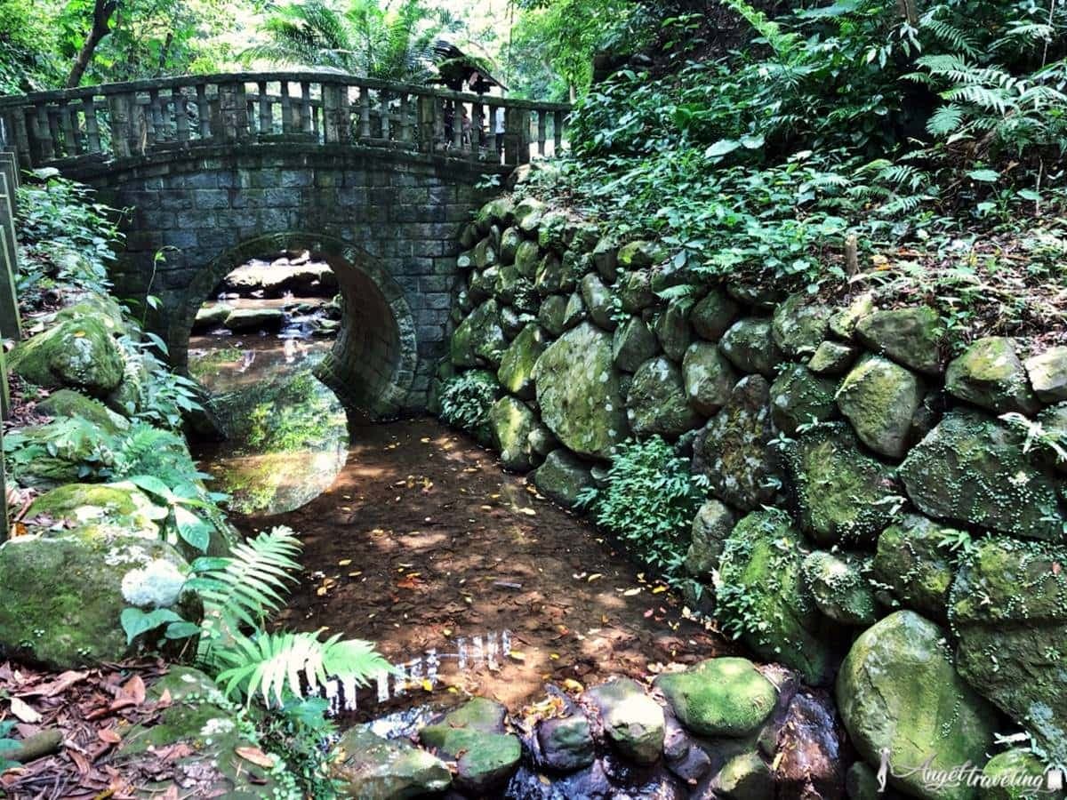 散心祕境先存好!隱身市區「親山步道」輕鬆好走不吃力,還能賞唯美復古拱橋、遠眺101 散心祕境先存好!隱身市區「親山步道」輕鬆好走不吃力,還能賞唯美復古拱橋、遠眺101