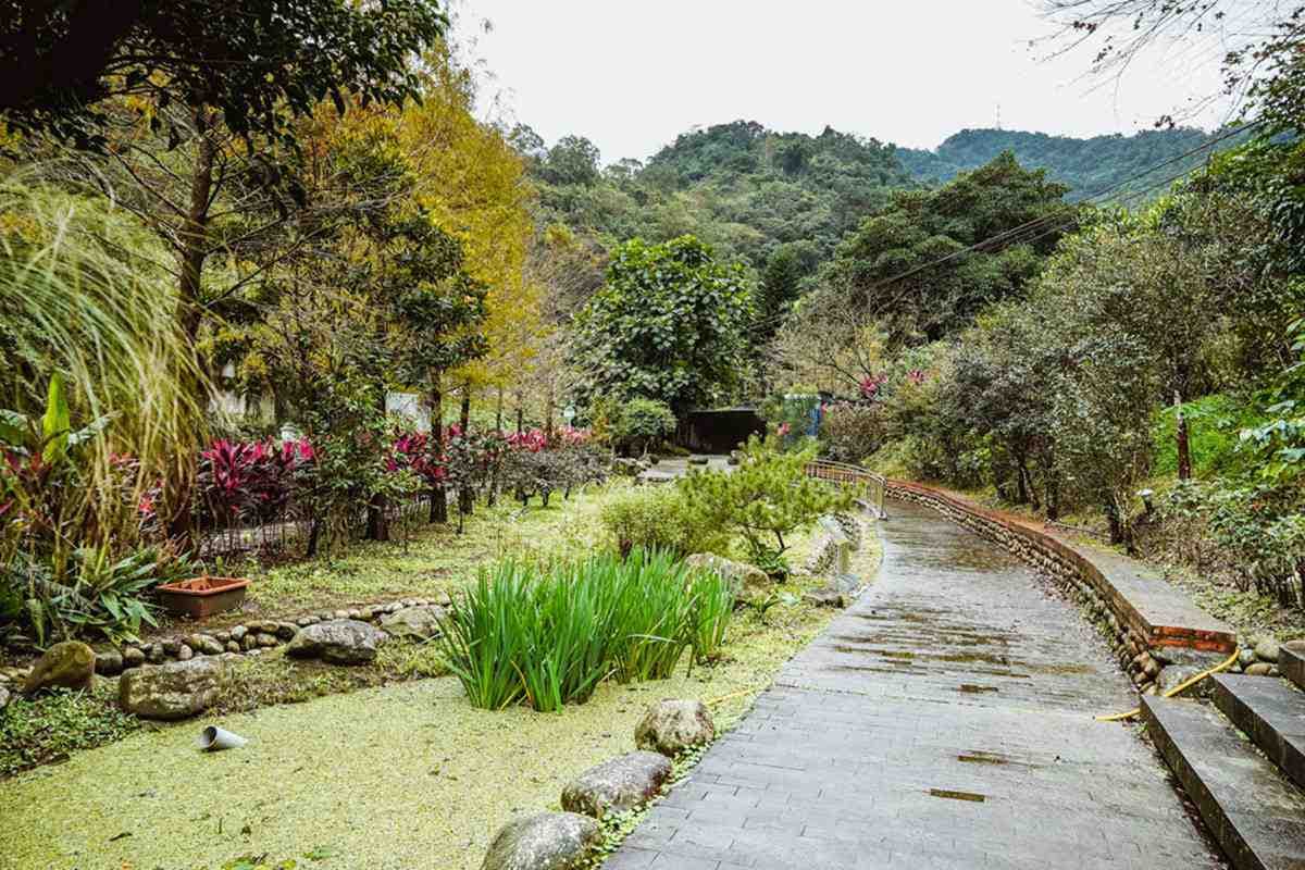超好走祕境!2公里親水步道能賞巨型「百年大板根」,台版「龍貓森林隧道」IG必打卡 超好走祕境!2公里親水步道能賞巨型「百年大板根」,台版「龍貓森林隧道」IG必打卡