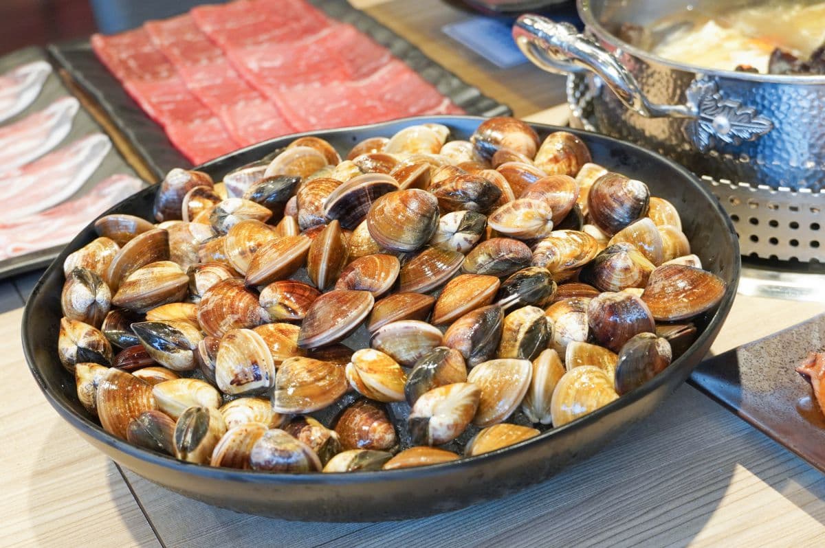 【新開店】399元吃到飽!馬辣新品牌「涮樂和牛」祭100種食材,還有和牛壽司無限吃 【新開店】399元吃到飽!馬辣新品牌「涮樂和牛」祭100種食材,還有和牛壽司無限吃