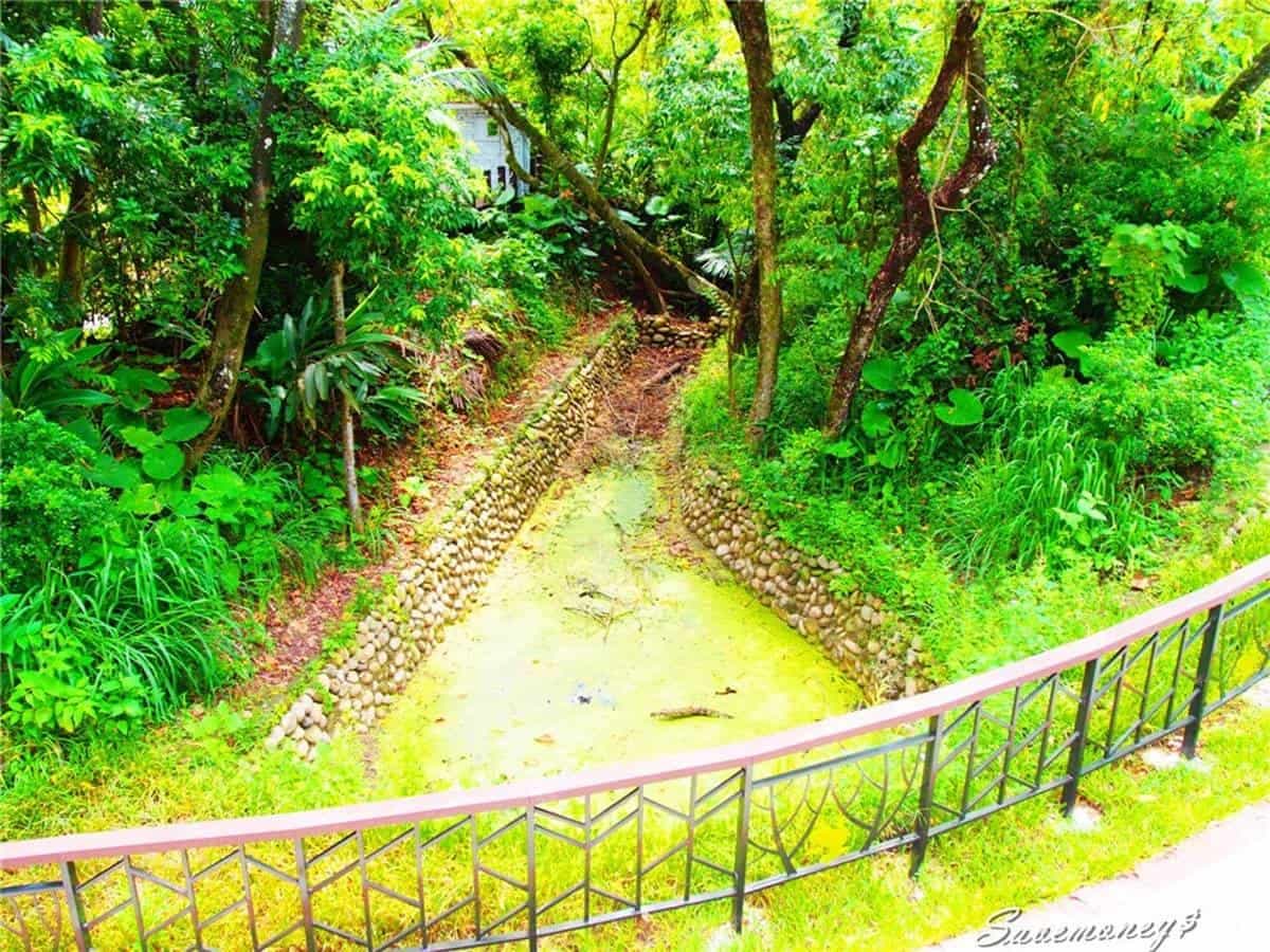 親子出遊好去處!「貓頭鷹步道」爽玩小孩最愛大沙坑,還能打卡400年老樟樹 親子出遊好去處!「貓頭鷹步道」爽玩小孩最愛大沙坑,還能打卡400年老樟樹