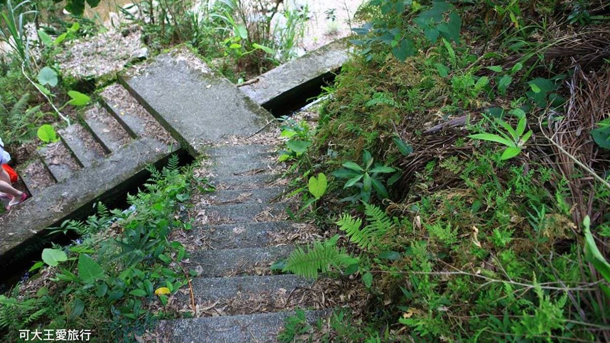 搭公車就能到!超便利「玩水祕境」媲美無邊際泳池,「野溪踩水」還有小魚幫你去角質 搭公車就能到!超便利「玩水祕境」媲美無邊際泳池,「野溪踩水」還有小魚幫你去角質