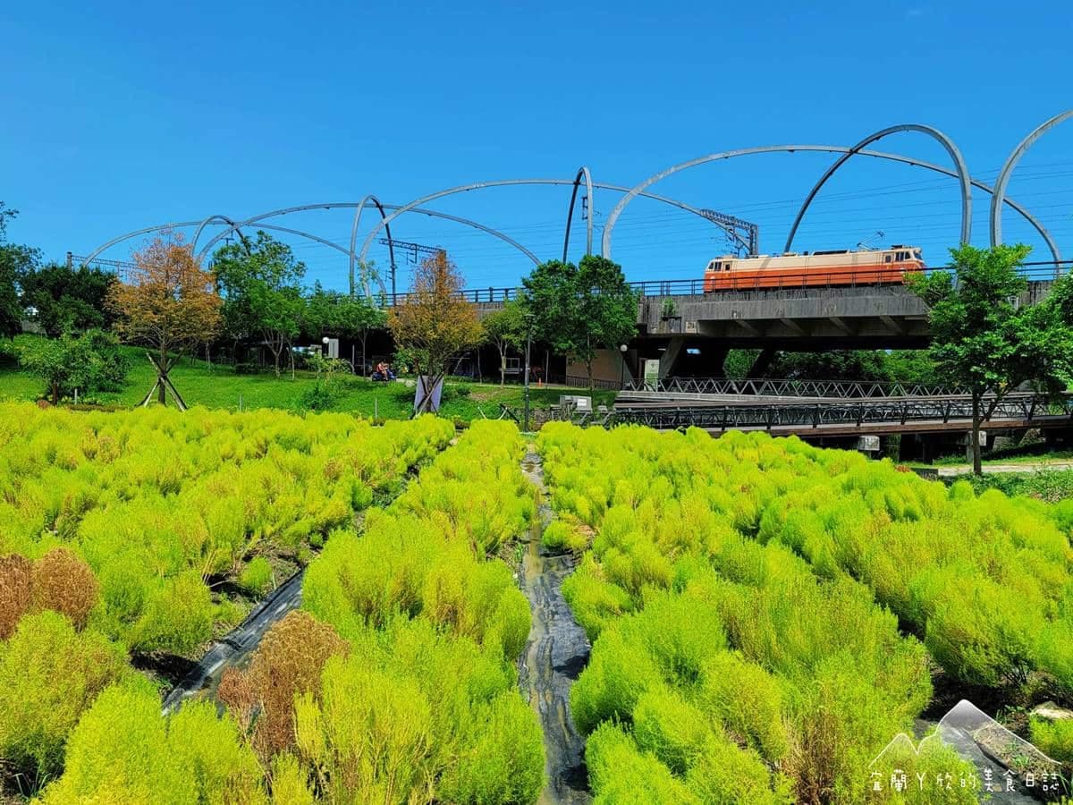 「Q版抹茶海」好療癒啊!3000株波波草現身宜蘭,加碼再拍「稻草捲心酥」 「Q版抹茶海」好療癒啊!3000株波波草現身宜蘭,加碼再拍「稻草捲心酥」