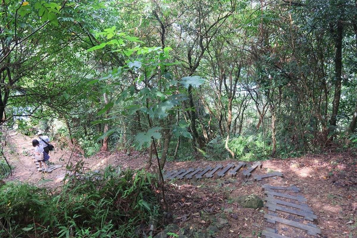 森林系水水必衝!石碇祕境1日6行程:打卡鱷魚島、美拍古道吊橋、陶藝DIY 森林系水水必衝!石碇祕境1日6行程:打卡鱷魚島、美拍古道吊橋、陶藝DIY
