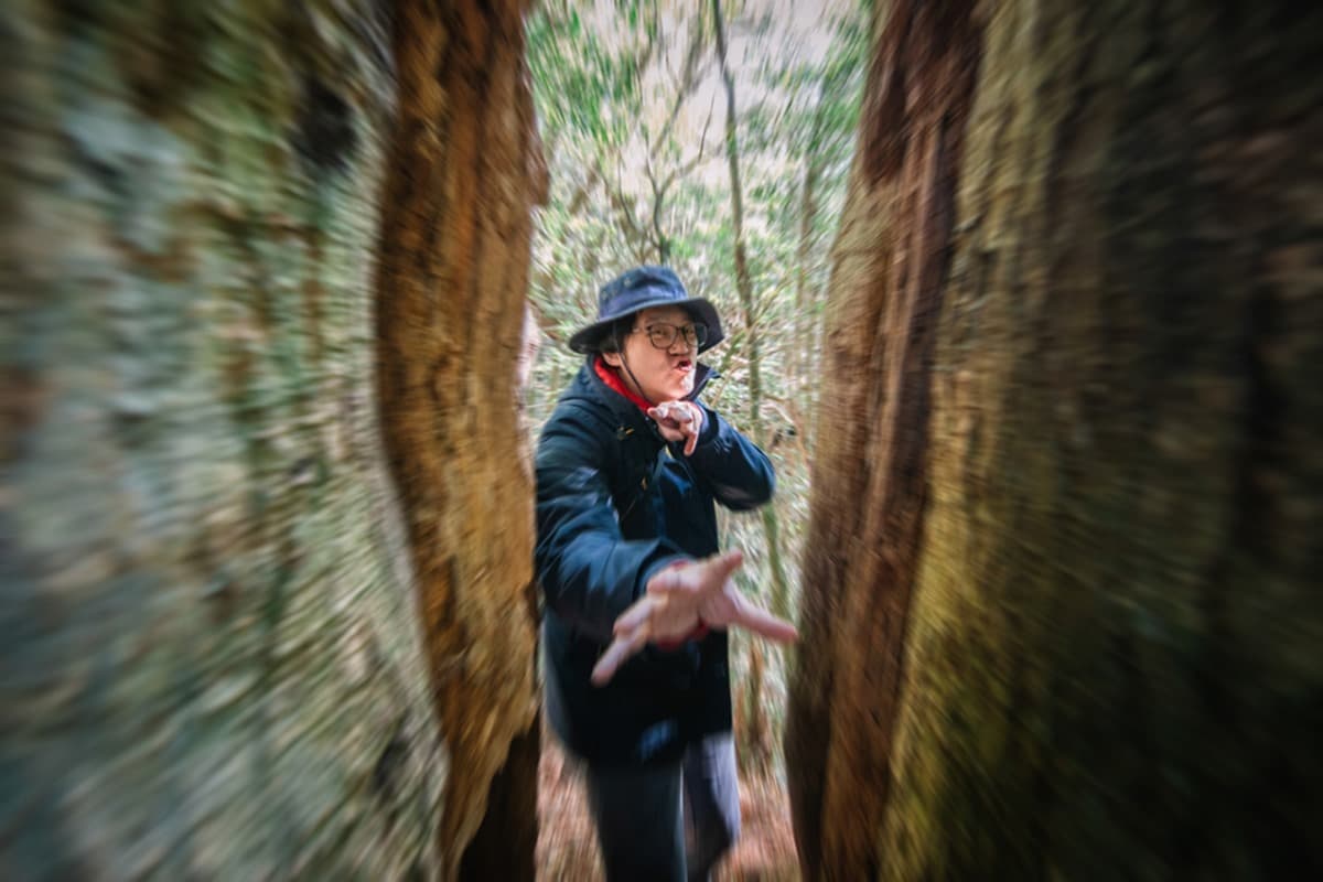 打卡台版阿凡達!新北最高峰步道宛如「魔幻迷宮」,神祕森林怎麼拍都好看 打卡台版阿凡達!新北最高峰步道宛如「魔幻迷宮」,神祕森林怎麼拍都好看