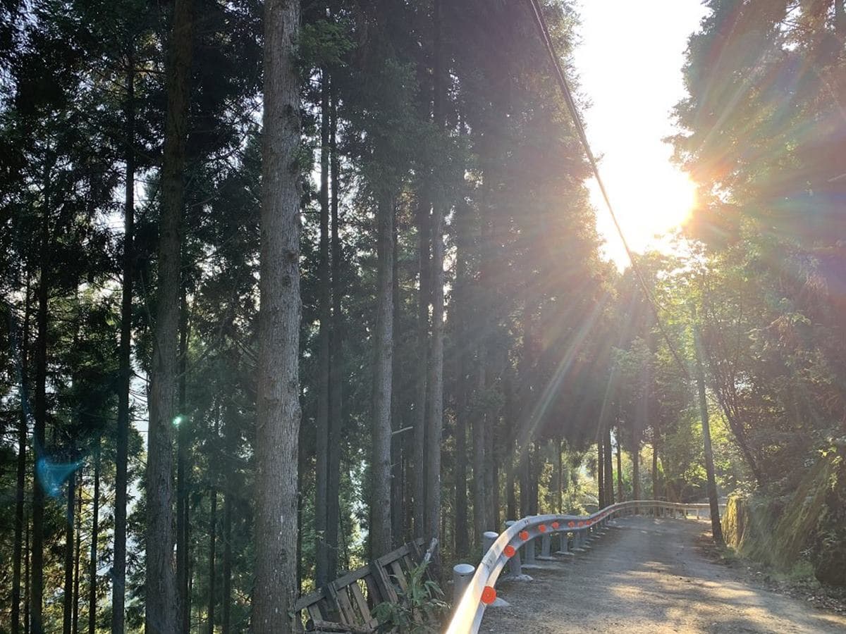 專車接駁超輕鬆!苗栗祕境登山步道賞「雪山聖稜線」,還能美拍森林鐵道 專車接駁超輕鬆!苗栗祕境登山步道賞「雪山聖稜線」,還能美拍森林鐵道