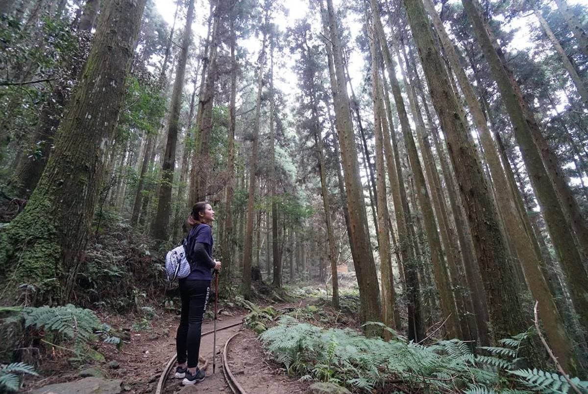 專車接駁超輕鬆!苗栗祕境登山步道賞「雪山聖稜線」,還能美拍森林鐵道 專車接駁超輕鬆!苗栗祕境登山步道賞「雪山聖稜線」,還能美拍森林鐵道
