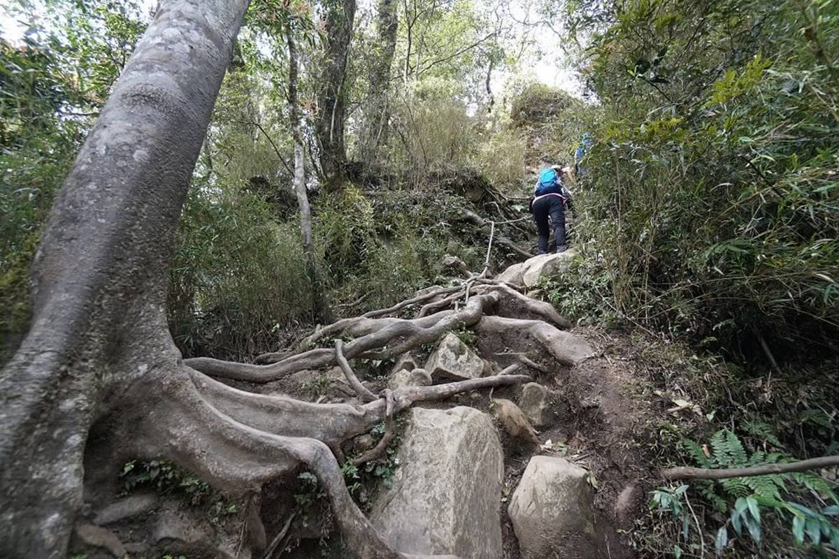 專車接駁超輕鬆!苗栗祕境登山步道賞「雪山聖稜線」,還能美拍森林鐵道 專車接駁超輕鬆!苗栗祕境登山步道賞「雪山聖稜線」,還能美拍森林鐵道