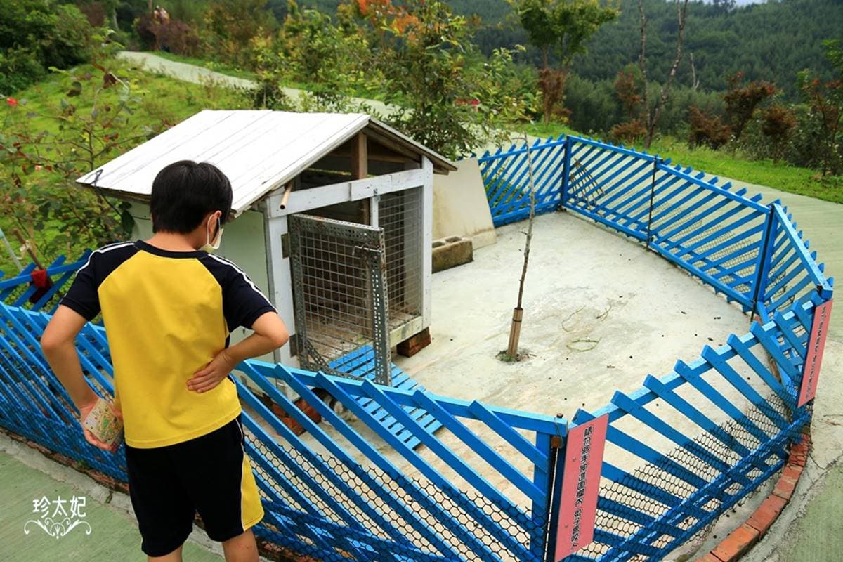 水水快衝!新竹高海拔「祕境小屋」打卡天空階梯,還有小朋友最愛動物區 水水快衝!新竹高海拔「祕境小屋」打卡天空階梯,還有小朋友最愛動物區