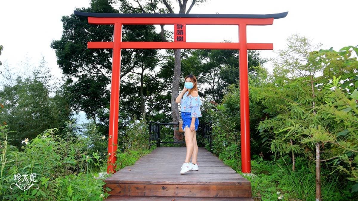水水快衝!新竹高海拔「祕境小屋」打卡天空階梯,還有小朋友最愛動物區 水水快衝!新竹高海拔「祕境小屋」打卡天空階梯,還有小朋友最愛動物區