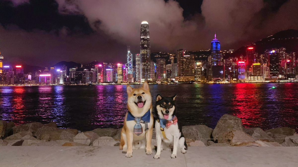 世界最貴海景野餐!騎單車玩維多利亞港,超Chill香港新玩法 世界最貴海景野餐!騎單車玩維多利亞港,超Chill香港新玩法