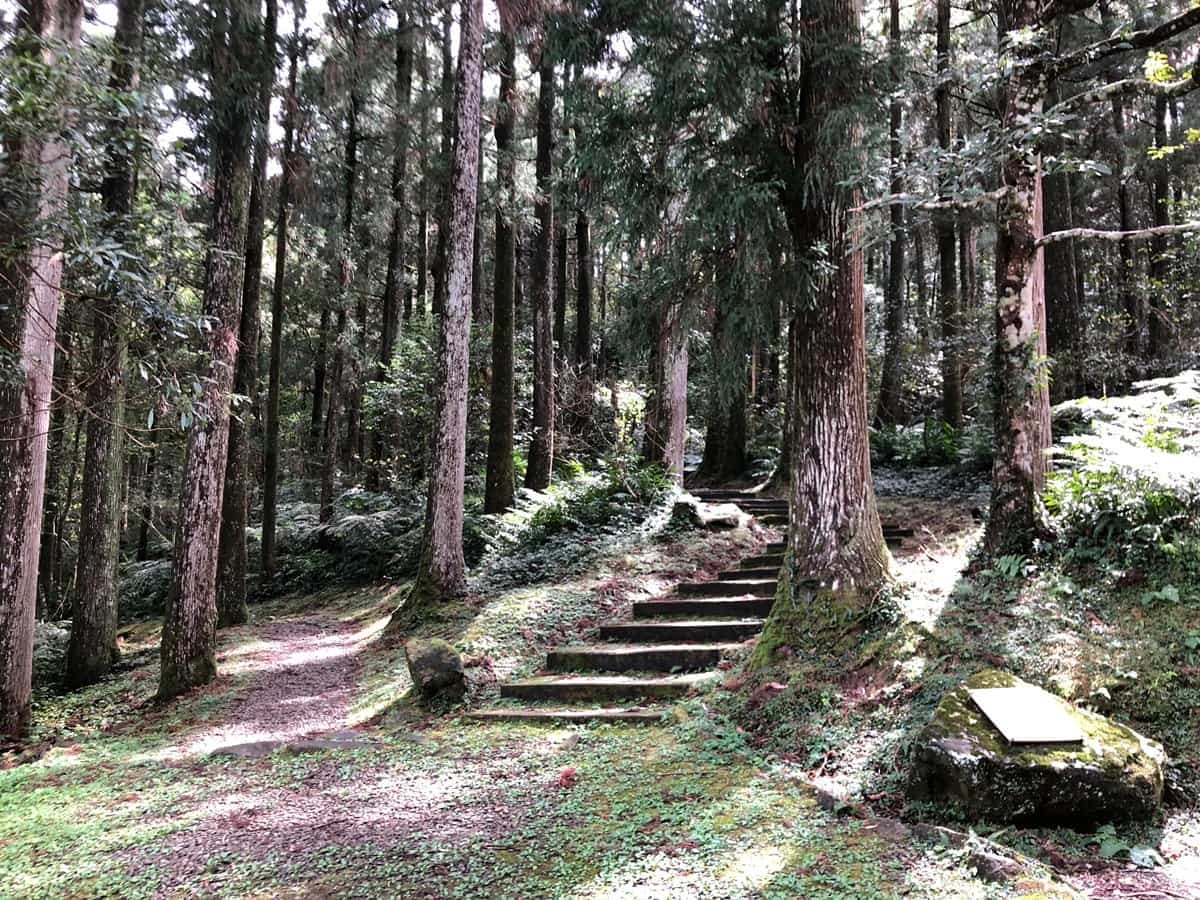 森林系行程買一送一!旅展必拍絕美「國家森林館」,免費再拿超Q限量口罩 森林系行程買一送一!旅展必拍絕美「國家森林館」,免費再拿超Q限量口罩
