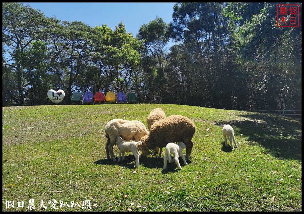 房內就能打卡!全台5間森林系景觀民宿:清水模玻璃屋、落羽松祕境 房內就能打卡!全台5間森林系景觀民宿:清水模玻璃屋、落羽松祕境