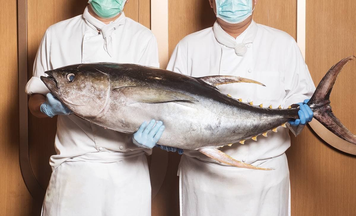 現省200元螃蟹吃到飽!超過30種飯店海鮮無限拿,加碼「整尾鮪魚」現切 現省200元螃蟹吃到飽!超過30種飯店海鮮無限拿,加碼「整尾鮪魚」現切
