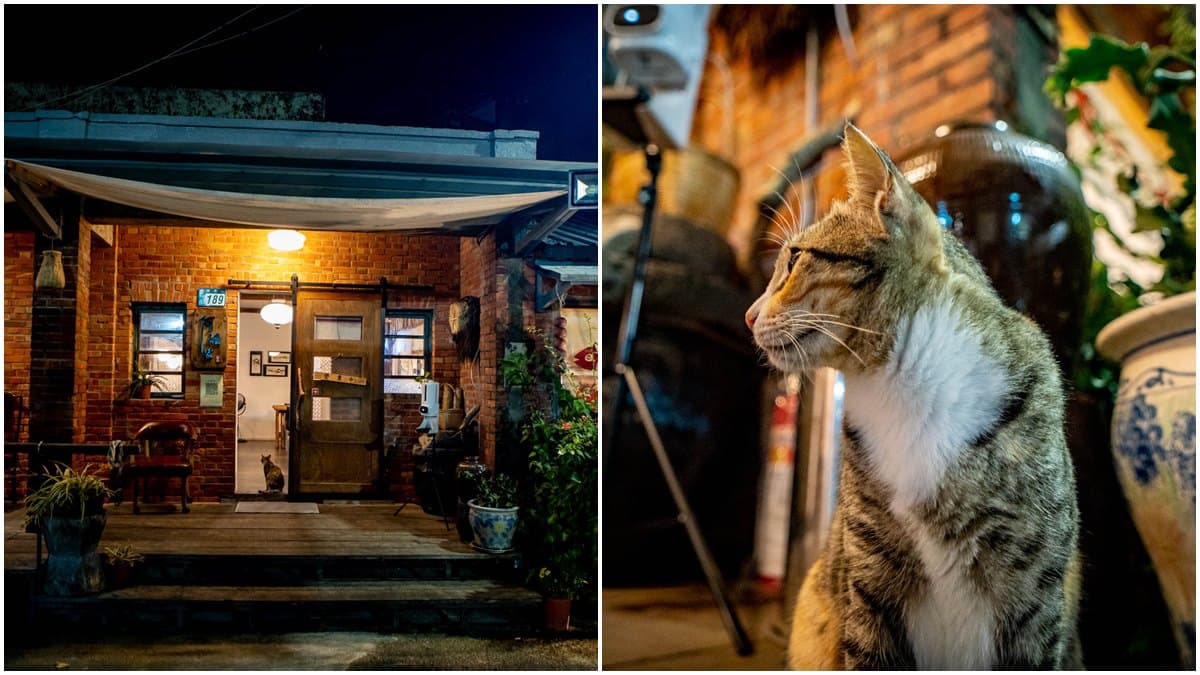 隱藏版漁村料理!金山紅磚老屋必嘗「酒蒸蛤蜊」,招牌酥炸小卷唰嘴又下飯 隱藏版漁村料理!金山紅磚老屋必嘗「酒蒸蛤蜊」,招牌酥炸小卷唰嘴又下飯