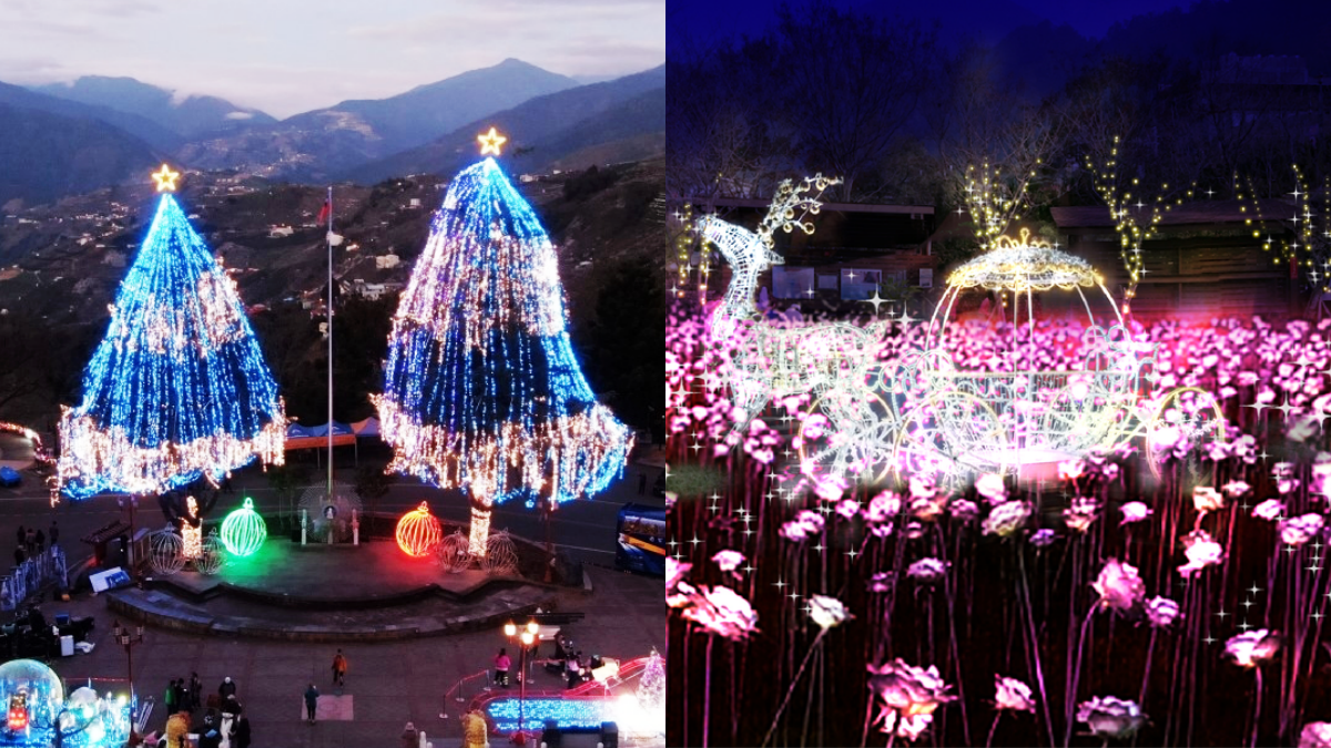 全台海拔最高「28公尺雪松耶誕樹」!山谷燈光節開跑,萬朵玫瑰燈海太夢幻