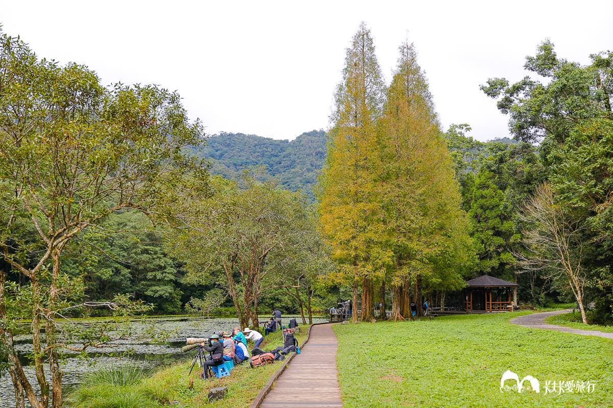 美拍祕境再+1!宜蘭植物園打卡絕美「綠色廊道」,還能賞整面湖泊倒影 美拍祕境再+1!宜蘭植物園打卡絕美「綠色廊道」,還能賞整面湖泊倒影
