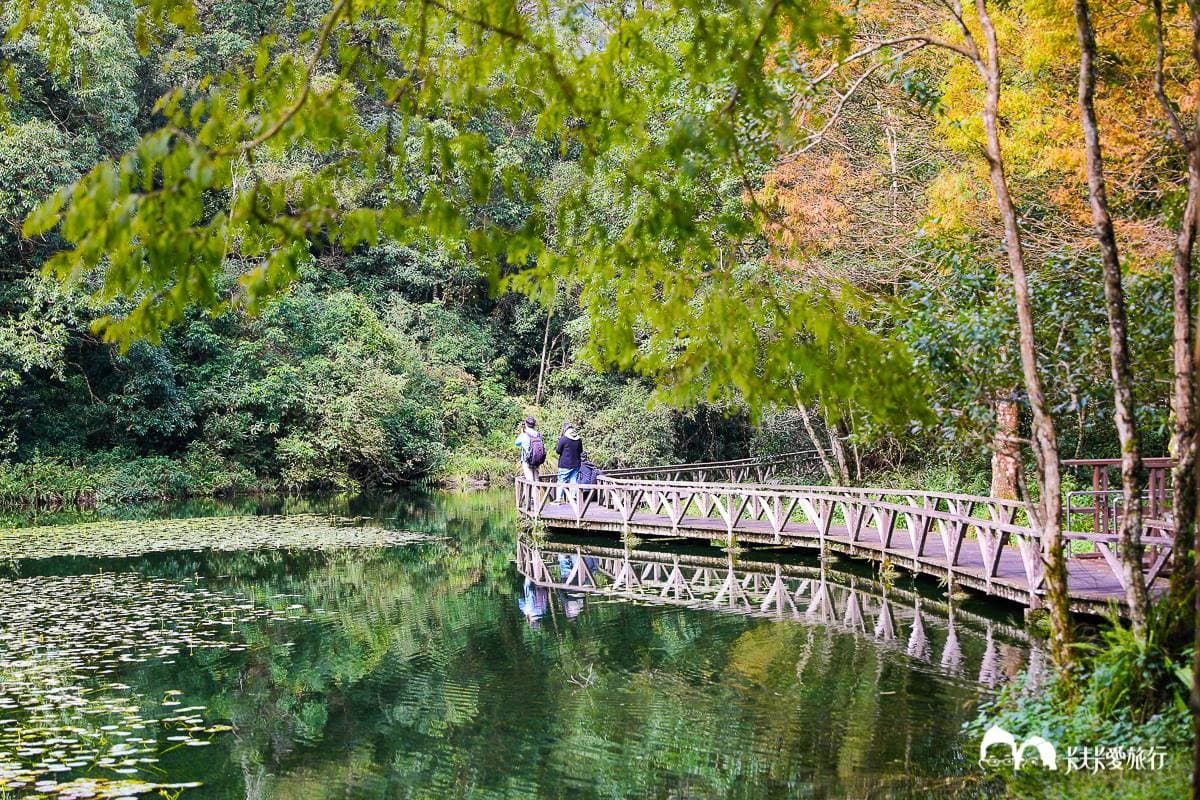 美拍祕境再+1!宜蘭植物園打卡絕美「綠色廊道」,還能賞整面湖泊倒影 美拍祕境再+1!宜蘭植物園打卡絕美「綠色廊道」,還能賞整面湖泊倒影