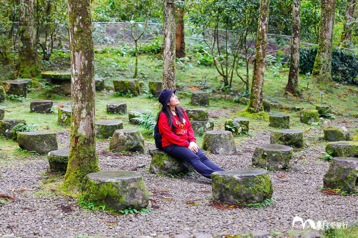美拍祕境再+1!宜蘭植物園打卡絕美「綠色廊道」,還能賞整面湖泊倒影 美拍祕境再+1!宜蘭植物園打卡絕美「綠色廊道」,還能賞整面湖泊倒影