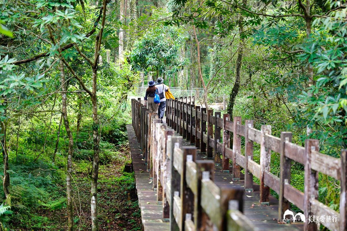 美拍祕境再+1!宜蘭植物園打卡絕美「綠色廊道」,還能賞整面湖泊倒影 美拍祕境再+1!宜蘭植物園打卡絕美「綠色廊道」,還能賞整面湖泊倒影