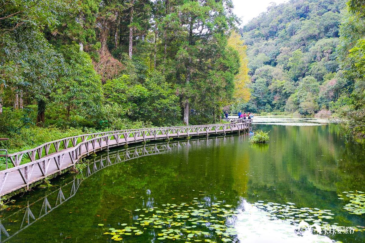 美拍祕境再+1!宜蘭植物園打卡絕美「綠色廊道」,還能賞整面湖泊倒影 美拍祕境再+1!宜蘭植物園打卡絕美「綠色廊道」,還能賞整面湖泊倒影