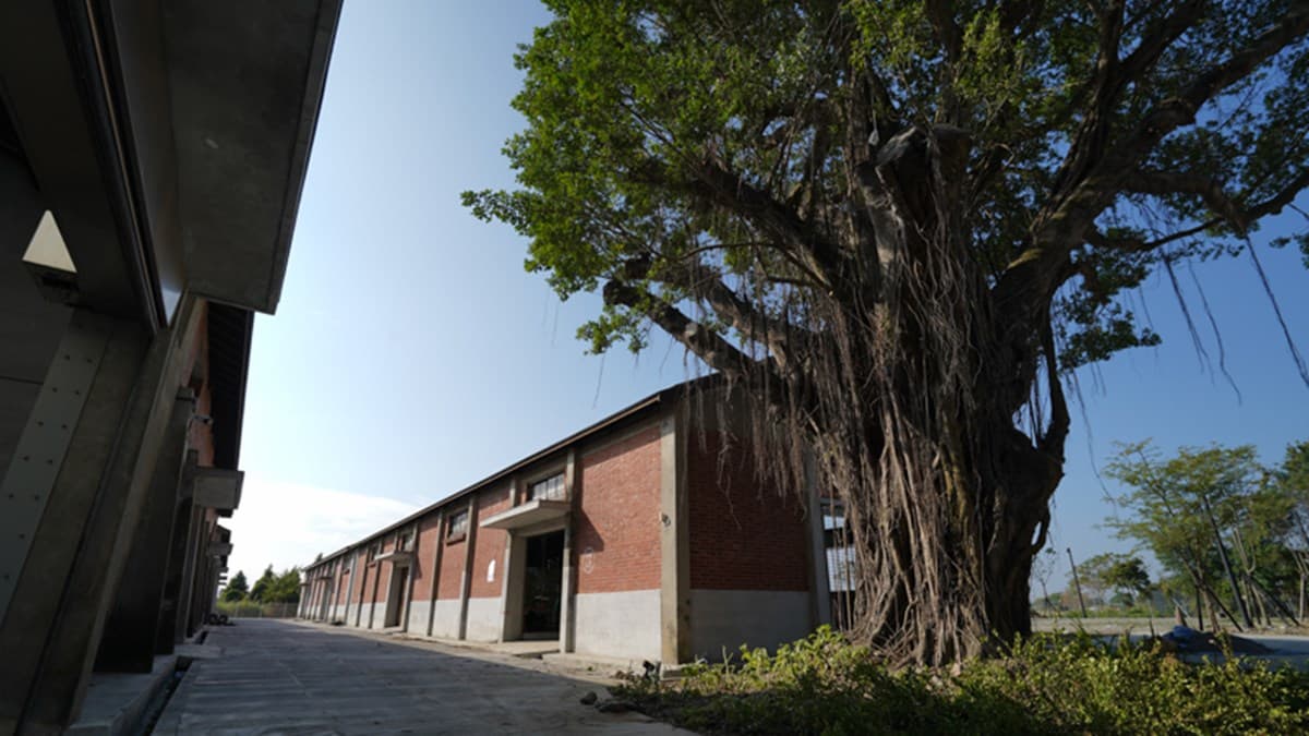 全台最大「沉浸式劇場」在台南!必拍「嘉南大圳」場景,還有巨型彈珠台可玩 全台最大「沉浸式劇場」在台南!必拍「嘉南大圳」場景,還有巨型彈珠台可玩