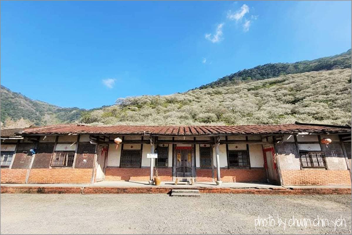 4000棵梅花齊放超美!高雄「隱藏版梅園」賞整片雪白美景,還能漫步森林步道 4000棵梅花齊放超美!高雄「隱藏版梅園」賞整片雪白美景,還能漫步森林步道