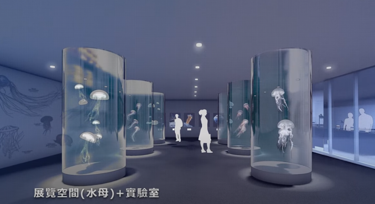 北北基首座水族館3月開!近千坪「潮境智能海洋館」玩VR海底隧道、巨型觀賞缸 北北基首座水族館3月開!近千坪「潮境智能海洋館」玩VR海底隧道、巨型觀賞缸