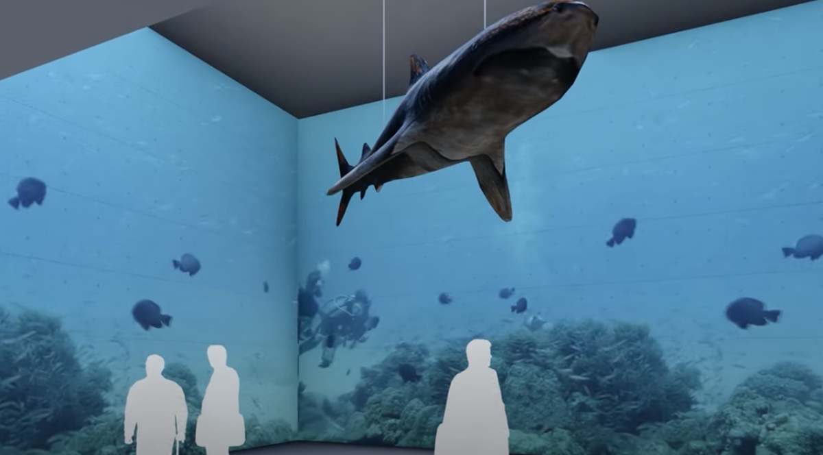 北北基首座水族館3月開!近千坪「潮境智能海洋館」玩VR海底隧道、巨型觀賞缸 北北基首座水族館3月開!近千坪「潮境智能海洋館」玩VR海底隧道、巨型觀賞缸