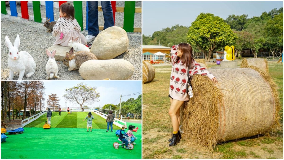 中、南部8間親子動物農場:全台最大鱷魚園區、墾丁小奈良、近距離餵迷你馬 中、南部8間親子動物農場:全台最大鱷魚園區、墾丁小奈良、近距離餵迷你馬
