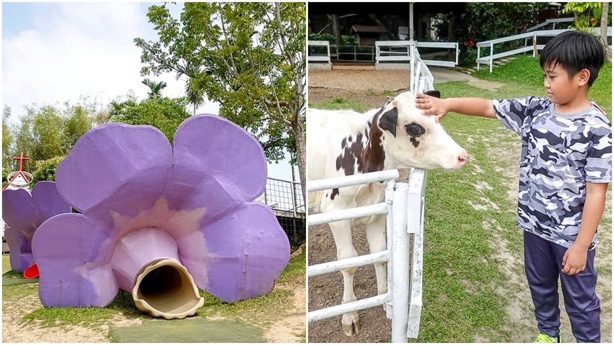 中、南部8間親子動物農場:全台最大鱷魚園區、墾丁小奈良、近距離餵迷你馬 中、南部8間親子動物農場:全台最大鱷魚園區、墾丁小奈良、近距離餵迷你馬