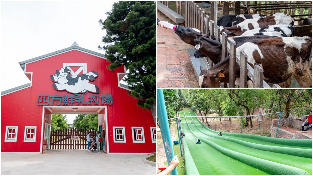 中、南部8間親子動物農場:全台最大鱷魚園區、墾丁小奈良、近距離餵迷你馬 中、南部8間親子動物農場:全台最大鱷魚園區、墾丁小奈良、近距離餵迷你馬
