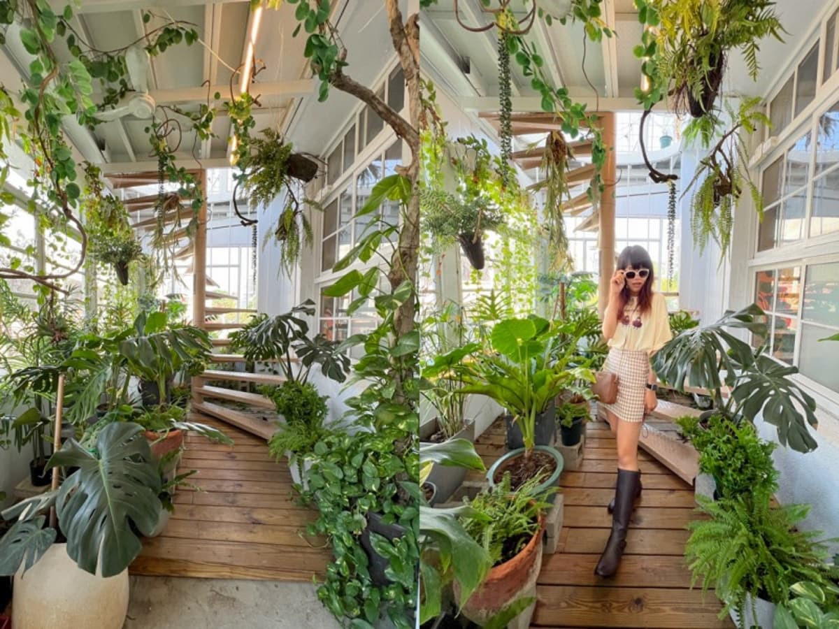 旋轉梯超美拍!嘉義百年老屋變身「森林系咖啡廳」,還能爽嗑Q彈海鮮麵 旋轉梯超美拍!嘉義百年老屋變身「森林系咖啡廳」,還能爽嗑Q彈海鮮麵