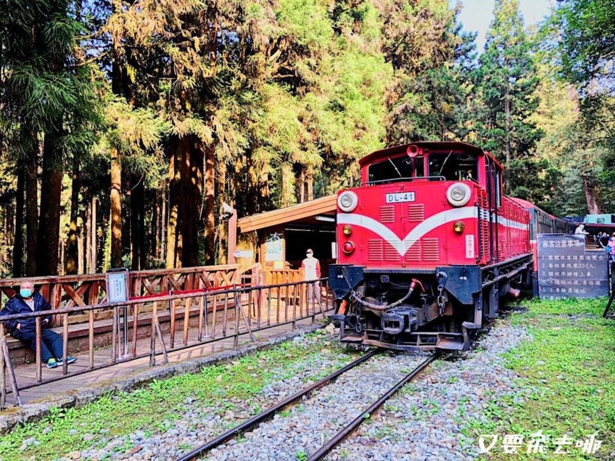 朝聖全台第一大神木!北中南6大神木景點:樹洞驚見「小台灣」、巨木棧道 朝聖全台第一大神木!北中南6大神木景點:樹洞驚見「小台灣」、巨木棧道