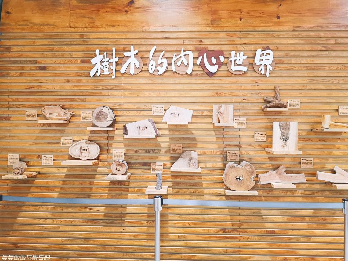 彷彿走進森林!30年「木材工廠」免門票入園,必玩巨大木琴牆、原木盆栽DIY 彷彿走進森林!30年「木材工廠」免門票入園,必玩巨大木琴牆、原木盆栽DIY