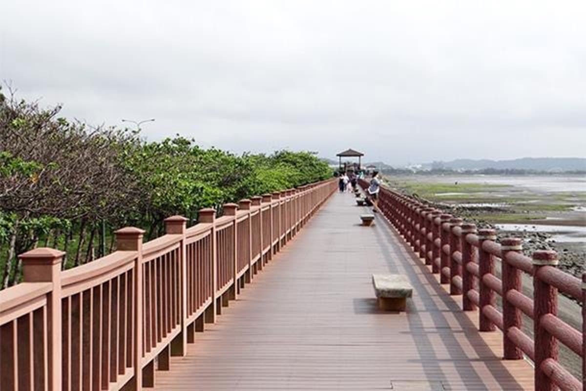 打卡綠色隧道+絕美海景!竹竹苗「1.2K自行車道」4月開通,新竹一路玩到苗栗 打卡綠色隧道+絕美海景!竹竹苗「1.2K自行車道」4月開通,新竹一路玩到苗栗