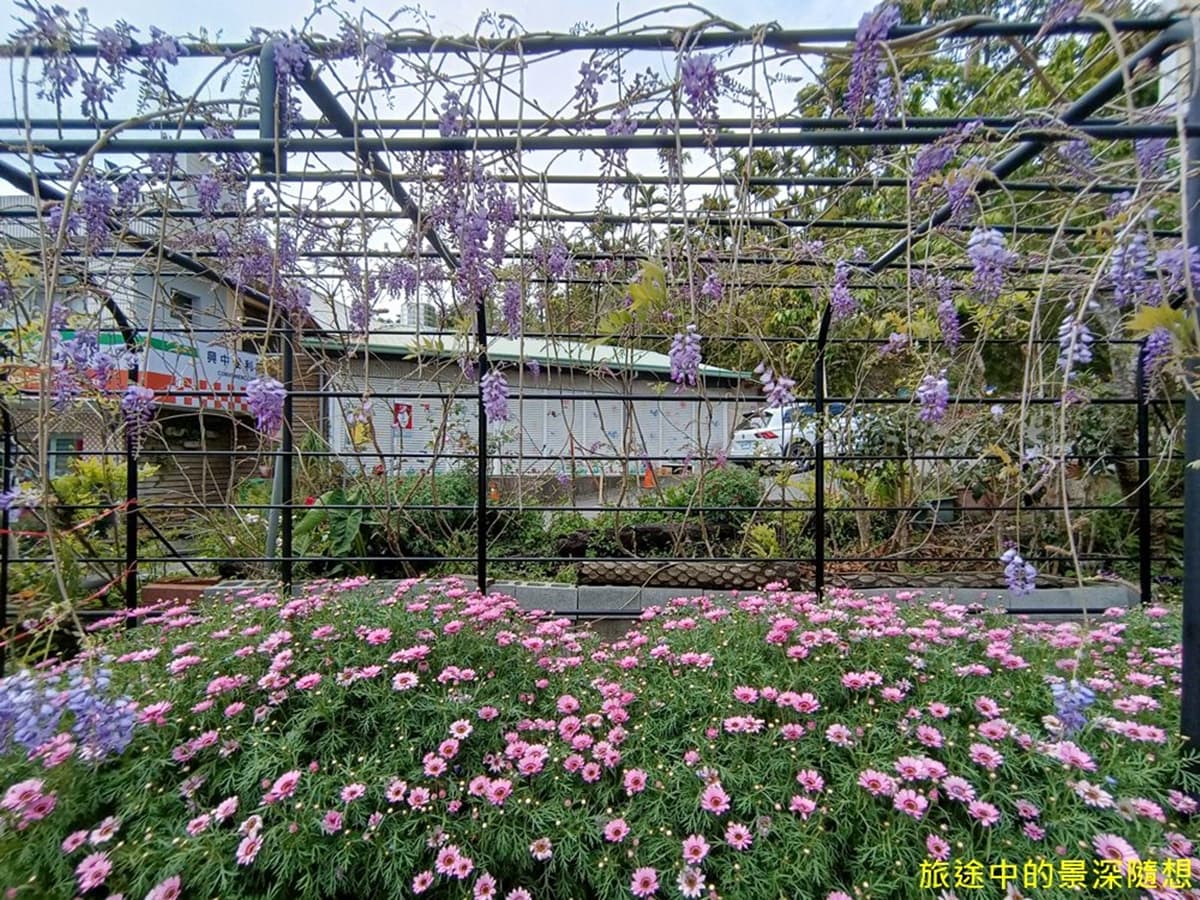 紫藤花棚旁嗑好料!高CP值「無菜單料理」1人只要300元,還能賞超夢幻花海 紫藤花棚旁嗑好料!高CP值「無菜單料理」1人只要300元,還能賞超夢幻花海