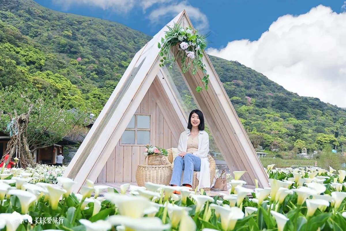 海芋開了!快衝陽明山打卡白色波浪,網美最愛花海鞦韆「這裡」拍 海芋開了!快衝陽明山打卡白色波浪,網美最愛花海鞦韆「這裡」拍