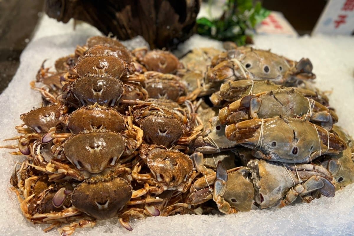 和牛、螃蟹吃到飽!千葉火鍋「4月壽星」200元就能開鍋,加碼兒童節享5折 和牛、螃蟹吃到飽!千葉火鍋「4月壽星」200元就能開鍋,加碼兒童節享5折